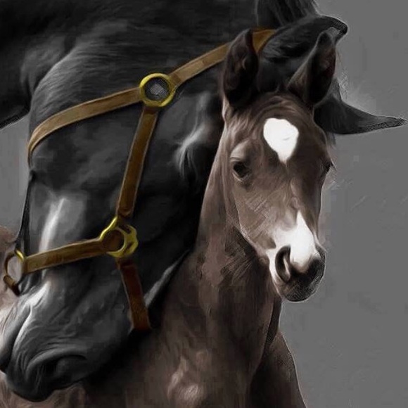 Meet your Posher, Laura - Picture 1 of 1